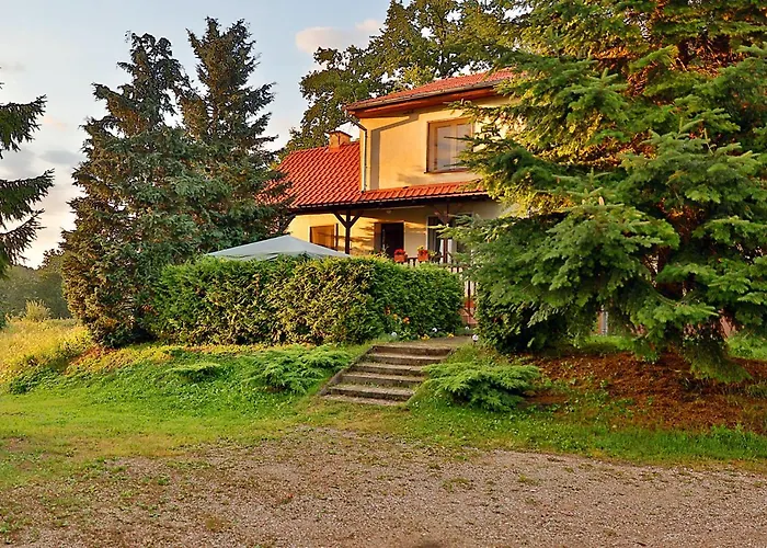 W Puszczy Boreckiej *