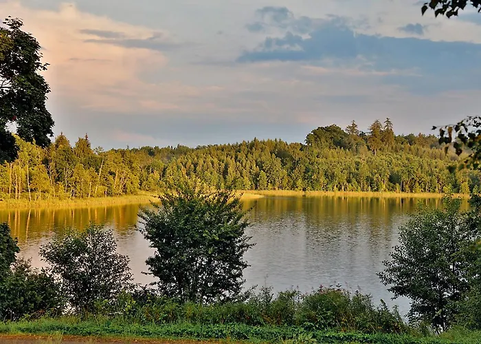 W Puszczy Boreckiej Apartmán *