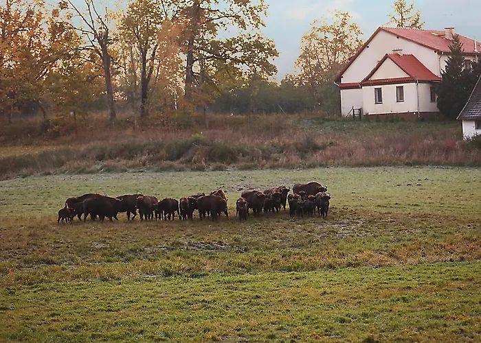 Apartmán W Puszczy Boreckiej Kruklanki