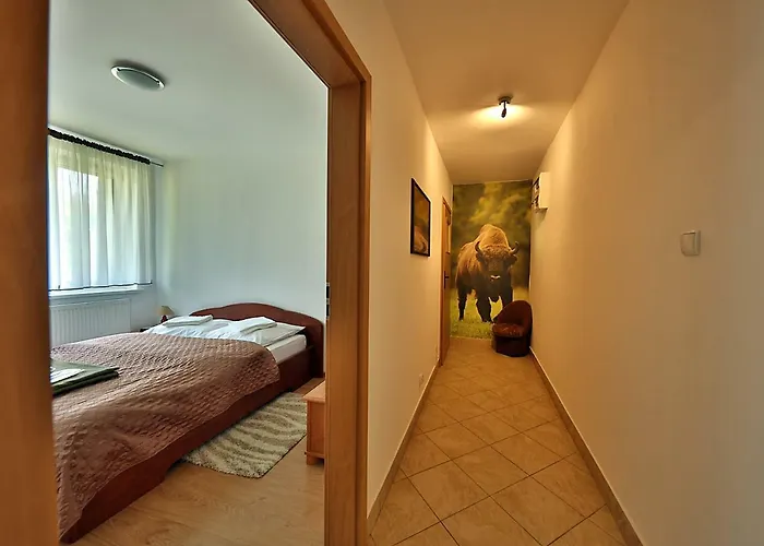 W Puszczy Boreckiej Kruklanki